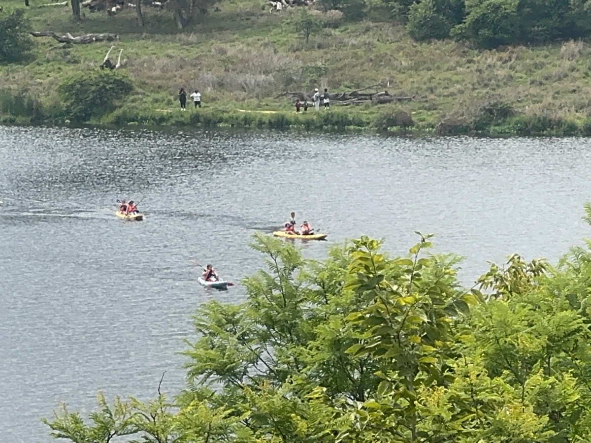 Experiences & Gratitude: Meat, Mountains, and&nbsp;Memories