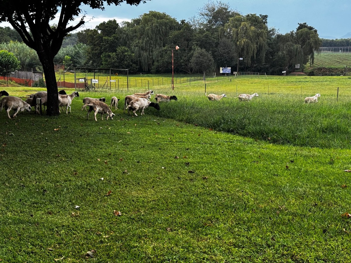 I am doing quite the opposite&nbsp;😆